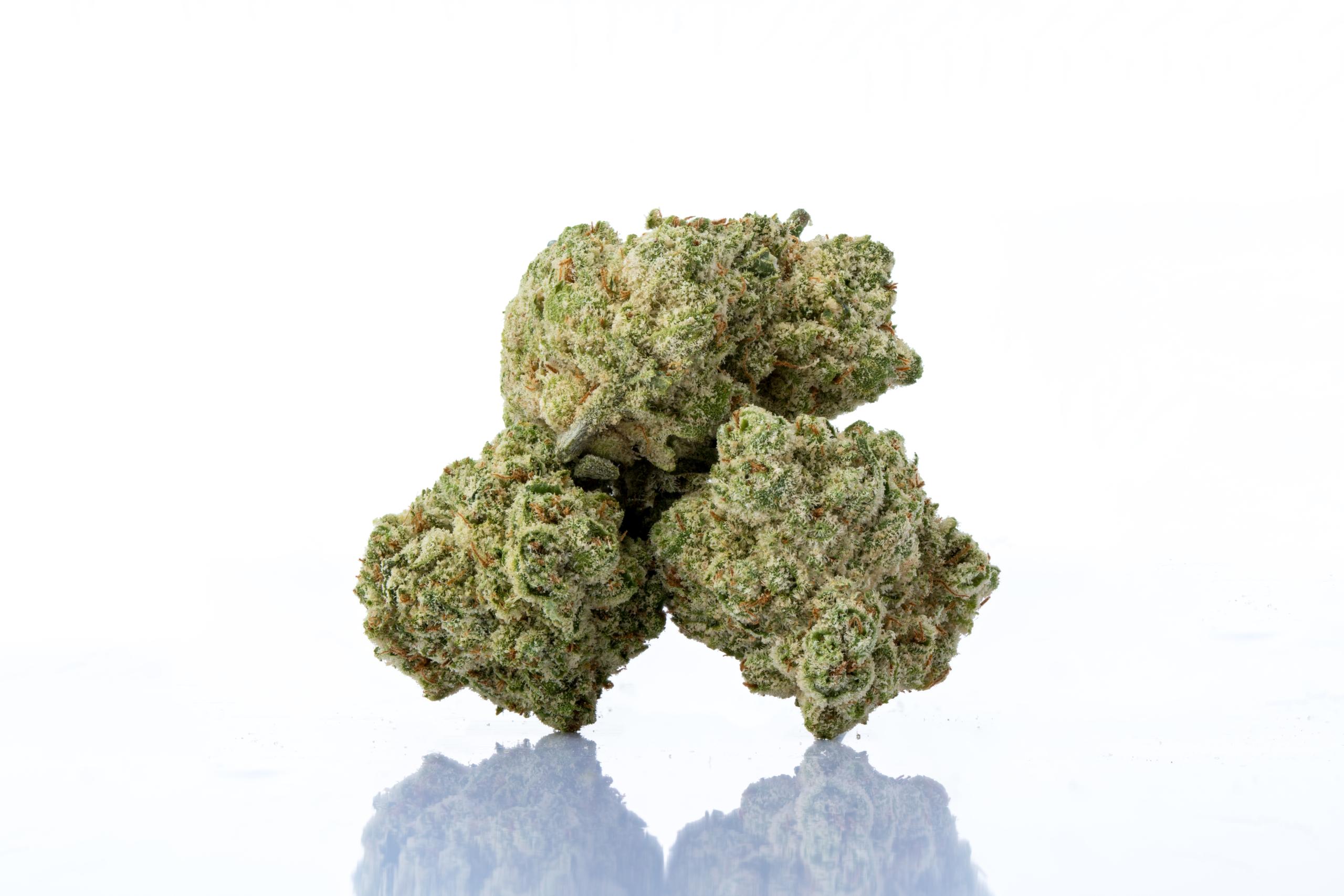 Shop FL Cannabis at MUV