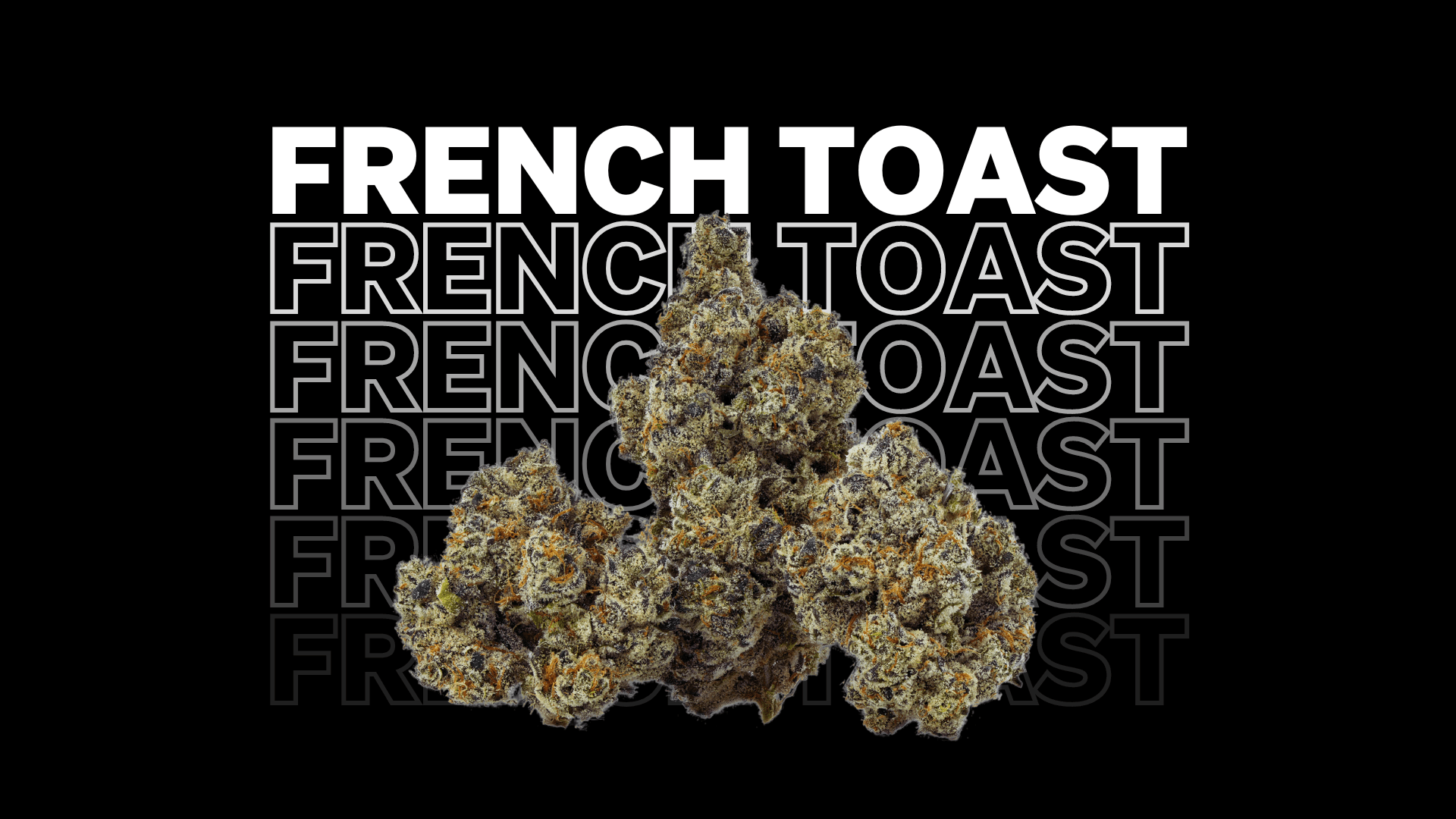 FRENCH TOAST Strain Info